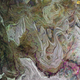 Illustration for article titled Erosion Exposes Curving Sedimentary Beds In The Land Of Terror